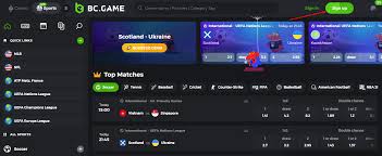 Resolving BCGame.vc Login Problem A Comprehensive Guide