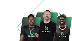 Understanding the BC.Game ID A Comprehensive Guide to Your Gaming Experience